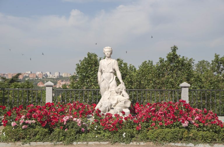 dalieda san franciscoantonio castro 2020 009 768x503