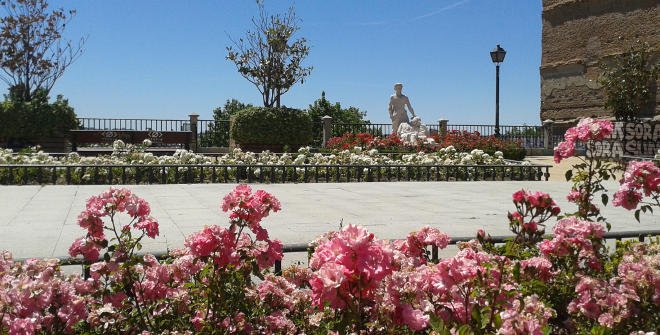 jardines de san francisco el grande 4 1