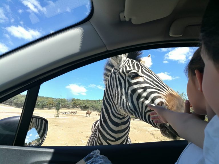 c3b5062f 1d42 4798 acbb bd74a7f6d849 768x576