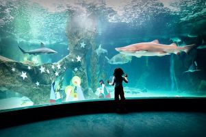 madrid aquarium zoo 1  h200