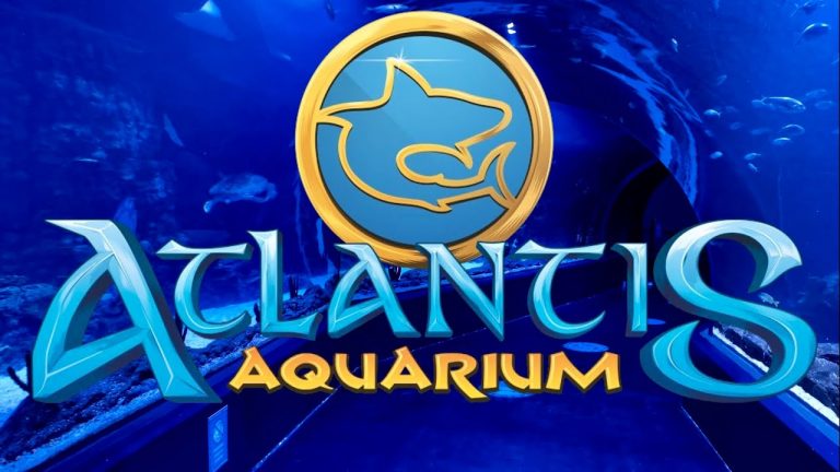 maxresdefault 1 768x432