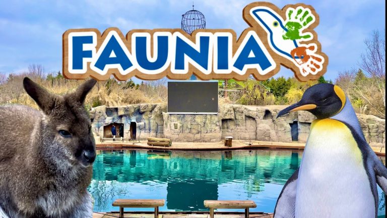 maxresdefault 768x432