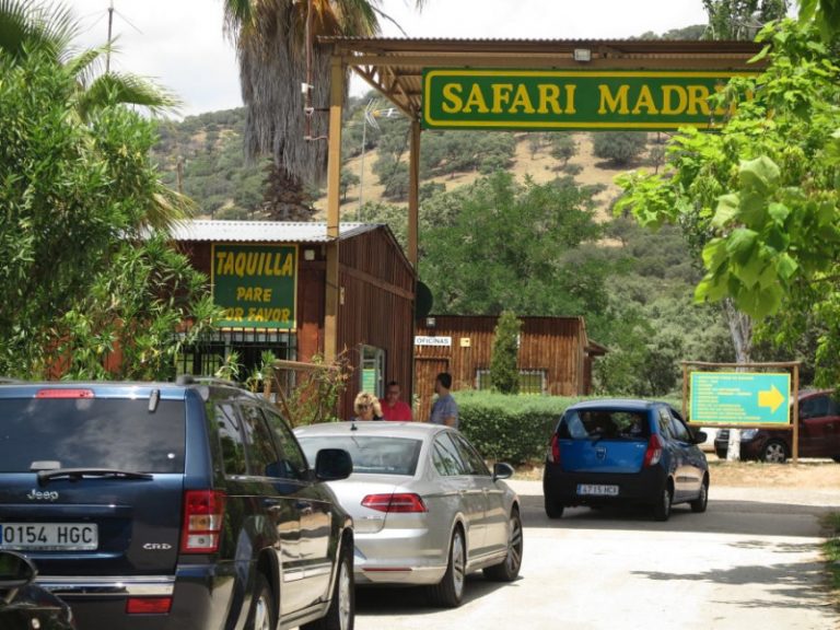safari park madrid 30 800x600 1 768x576