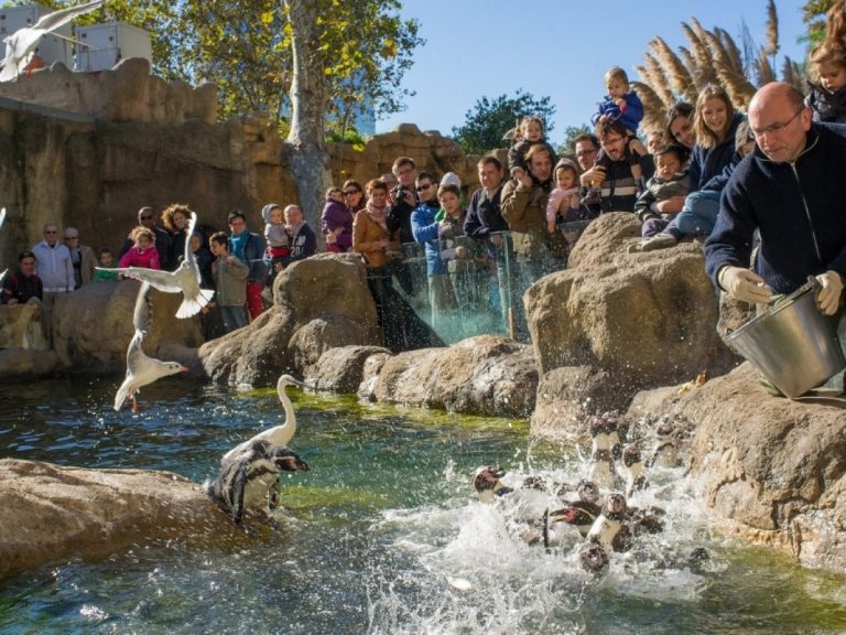 zoo barcelona 4 768x576